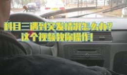 科三考试视频,实操技巧与注意事项解析